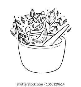 Illustration of a pantry staple objects.  Cute lovely doodle drawings of spices and herbs. 