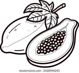 illustration of papaya for coloring book