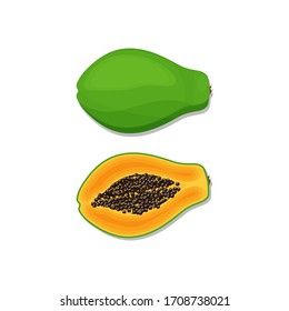 Illustration of papaya vector icon isolated on white background