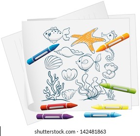 Illustration of a paper with a doodle design of the different sea creatures on a white background