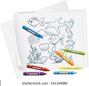 Illustration of a paper with a drawing of the different sea creatures on a white background