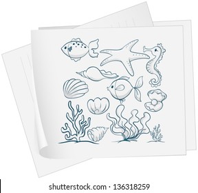 Illustration of a paper with a drawing of the different underwater species on a white background