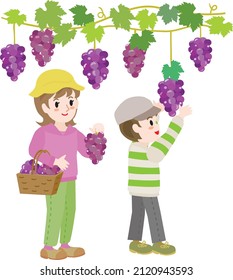 Ilustración del padre y el niño que recogen uvas.