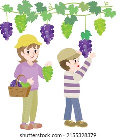 Illustration of a parent and child doing grape picking.