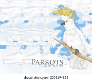 Illustration of a parrot or cockatoo with a yellow crest