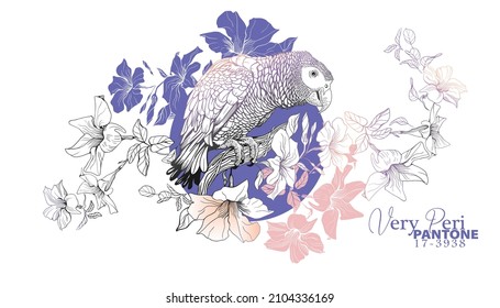 Illustration of a parrot sitting on a branch of a blossoming liana, Dipladenia liana, for printing on textiles, beautiful wallpaper in PANTONE 17-3938 Very Peri color, outline, coloring for adults