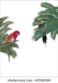 illustration with parrots and lush green palm tree foliage isolated on white background