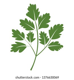 illustration of parsley branches. Vector design. Perfect for packaging, textiles, menu design