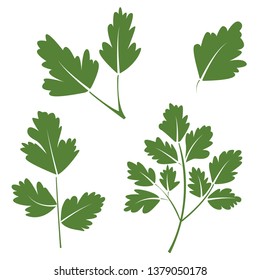 illustration of parsley branches. Vector design. Perfect for packaging, textiles, menu design