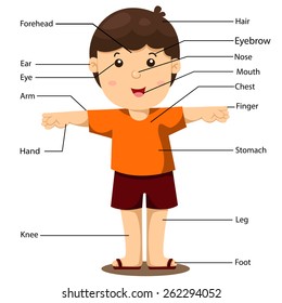 Cartoon Body Parts Images, Stock Photos & Vectors | Shutterstock