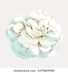 Illustration of a pastel-colored flower with soft, muted tones. The flower's delicate petals create a gentle, calming aesthetic. Pastel flower art. Vintage flower illustration isolated, vector.