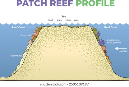 Ilustración de diagrama de perfil de arrecife de parche - Vector