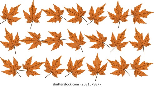 The illustration of patern of maple leaves that are identical to Canada's.