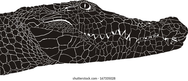illustration pattern background crocodile heads
