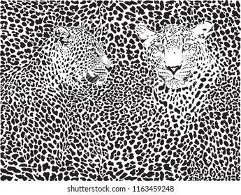 illustration pattern background leopard skins and two heads