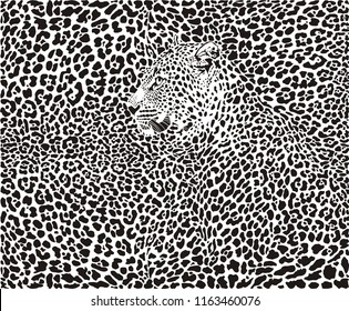 illustration pattern background leopard skins and head