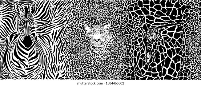 illustration pattern background background with zebra, leopard and giraffe