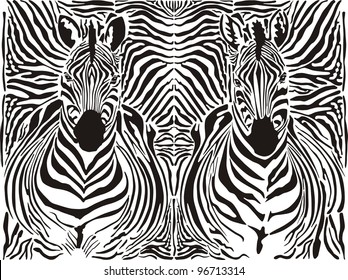 ilustração padrão de fundo zebras peles e cabeças