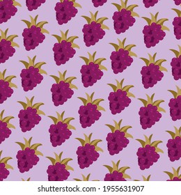 
illustration pattern blackberry on purple background