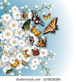 Illustration of pattern with cherry blossom branches, colorful butterflies and sky background
