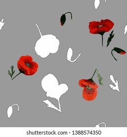 illustration pattern on grey background red poppies abstraction vector graphic