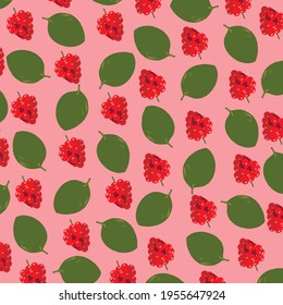 illustration pattern print raspberry basil on pink background