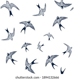 Illustration pattern swallow with background for fashion design and other products