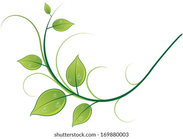 Illustration of pattern of twigs, leaves and drops on white background