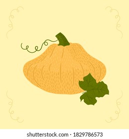 Ilustración de la squash patmecanico. Calabaza vectorial dibujada a mano con textura. Hortalizas de temporada y de otoño.