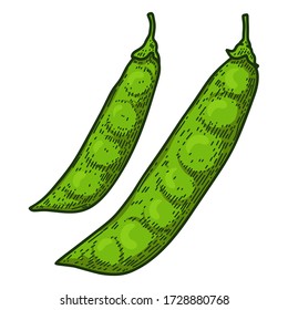 Illustration of pea pods in engraving style. Design element for logo, label, sign, emblem, poster. Vector illustration
