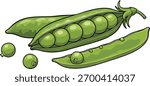 Illustration of pea pods, some open, revealing green peas, with a white background