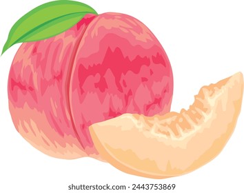It is an illustration of a peach