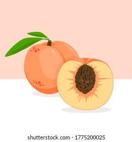 An illustration of peach and cut of peach. Fresh juicy fruit. Vector food illustration.