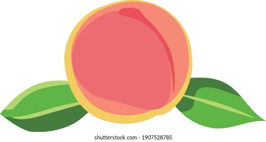 白桃 のイラスト素材 画像 ベクター画像 Shutterstock