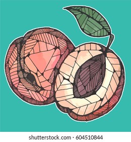 Illustration of peaches on a colored background, vector