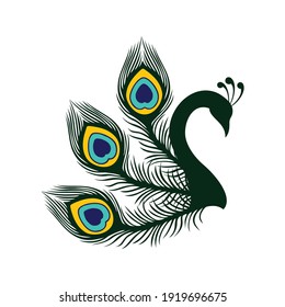 Illustration peacock bird abstract luxury icon vector concept design