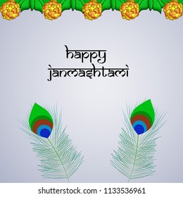Illustration of Peacock feather for the occasion of hindu festival Janmashtami
