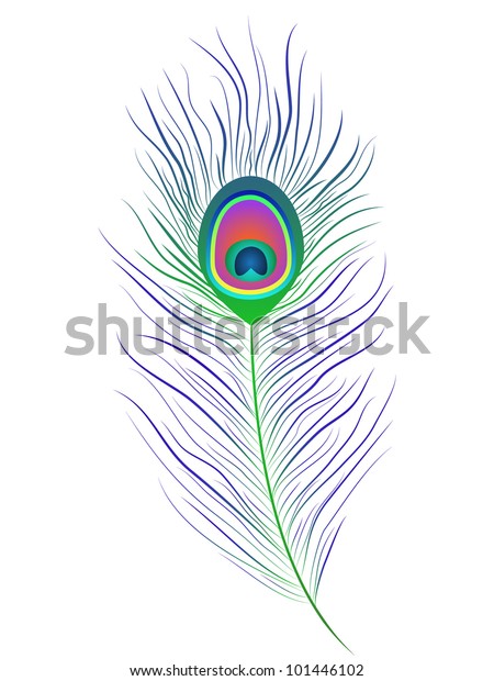 Illustration Peacock Feather On White Background Stock Vector (Royalty ...