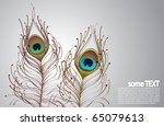 illustration of peacock feathers and text