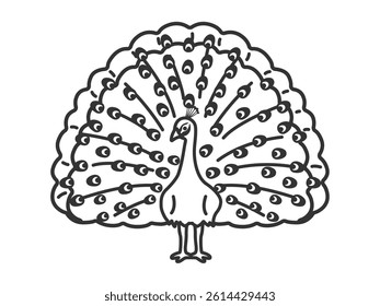 Illustration of a peacock (line drawing).