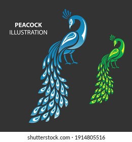 Illustration of Peacock making by pen tool