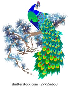 Illustration peacock  vector cartoon image 