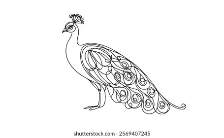 illustration of a Peafowls bird