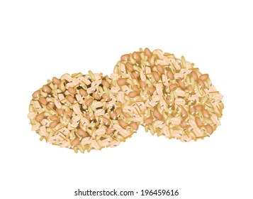 Illustration of Peanut Cookies Made of Peanut or Groundnut, Rice and Sesame, Thai Snack of Dietary Fiber, Vitamins and Minerals. 