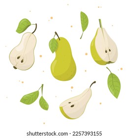  illustration of pear with leaf, illustration of pear isolated on white background, pear with leaves, half of pear