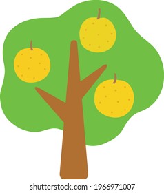 Illustration of a pear tree
