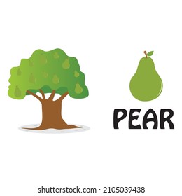 Illustration of a pear tree isolated on white background vector design