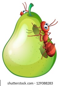 Illustration of a pear with two ants