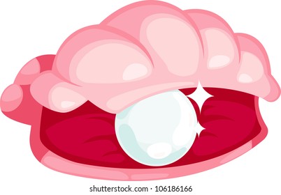 illustration Pearl oysters vector