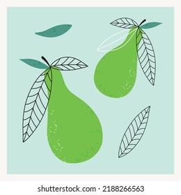 Illustration with pears. Hand drawn pear fruit print. Minimalist modern poster.